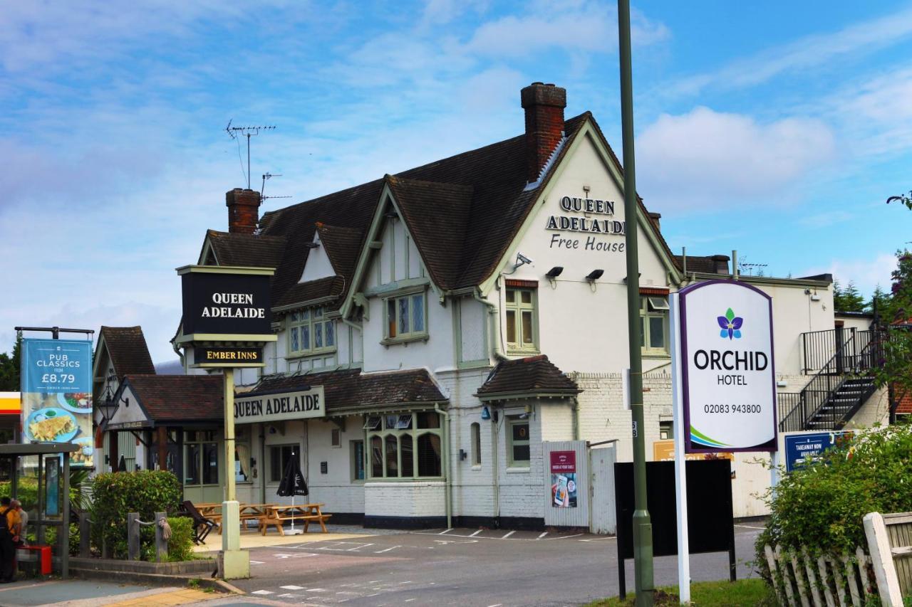 Orchid Epsom; Sure Collection By Western Hotel 3*