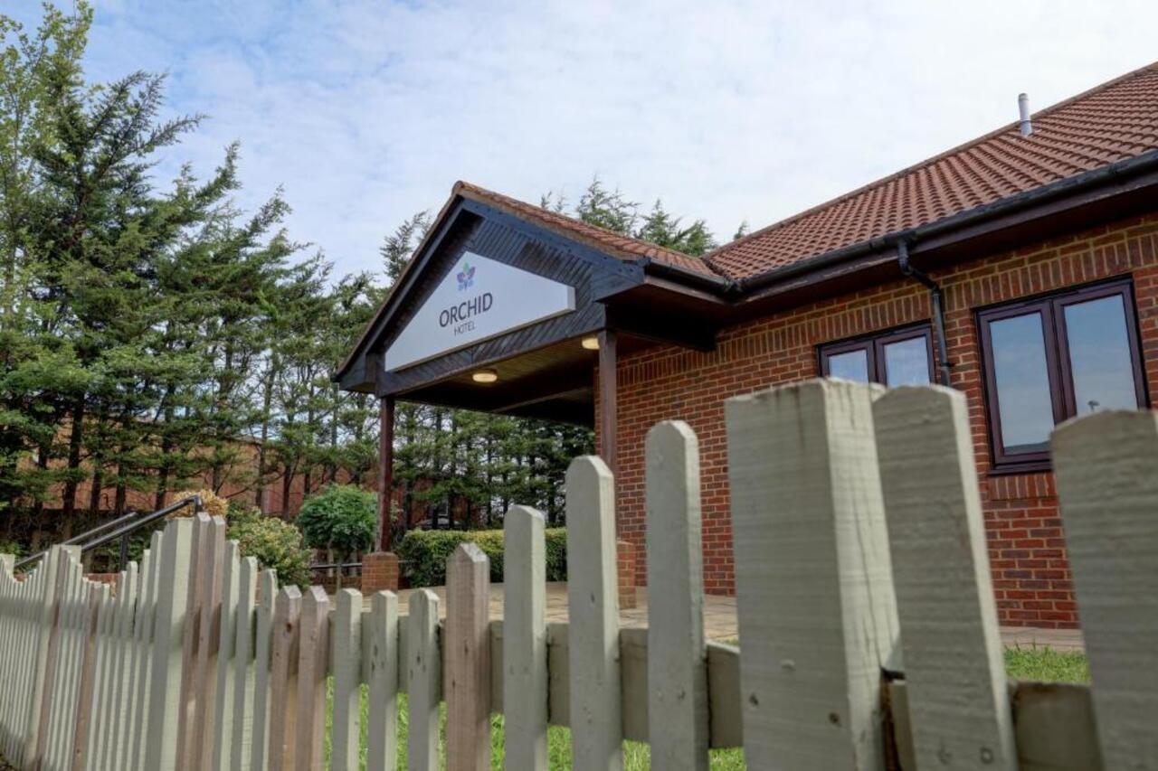 Orchid Epsom; Sure Collection By Western 3* Epsom
