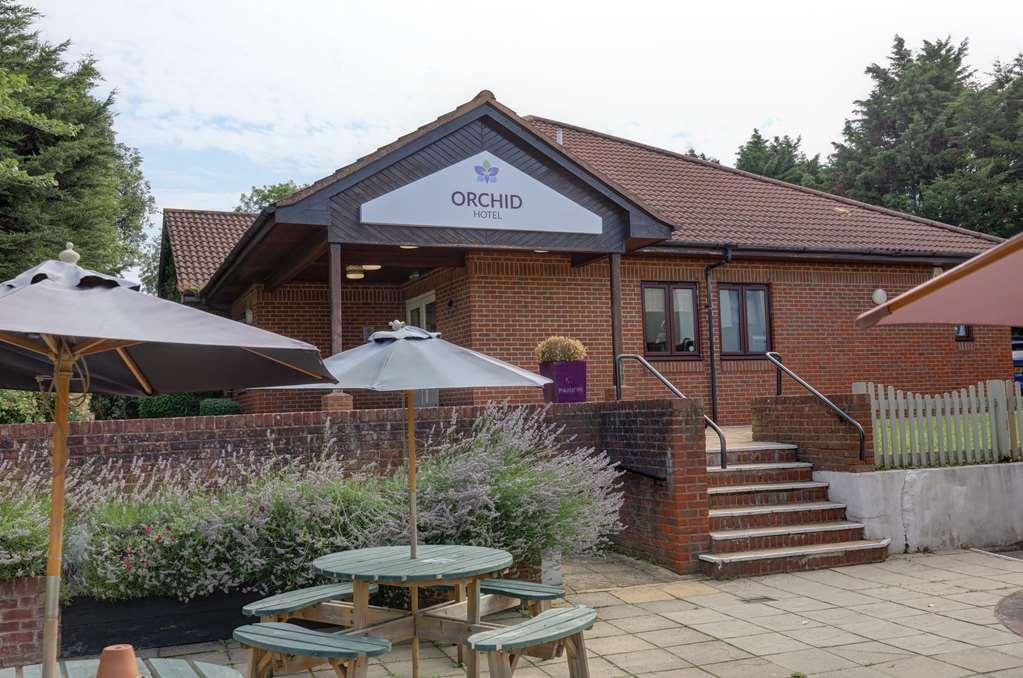 Orchid Epsom; Sure Collection By Western Hotel Epsom