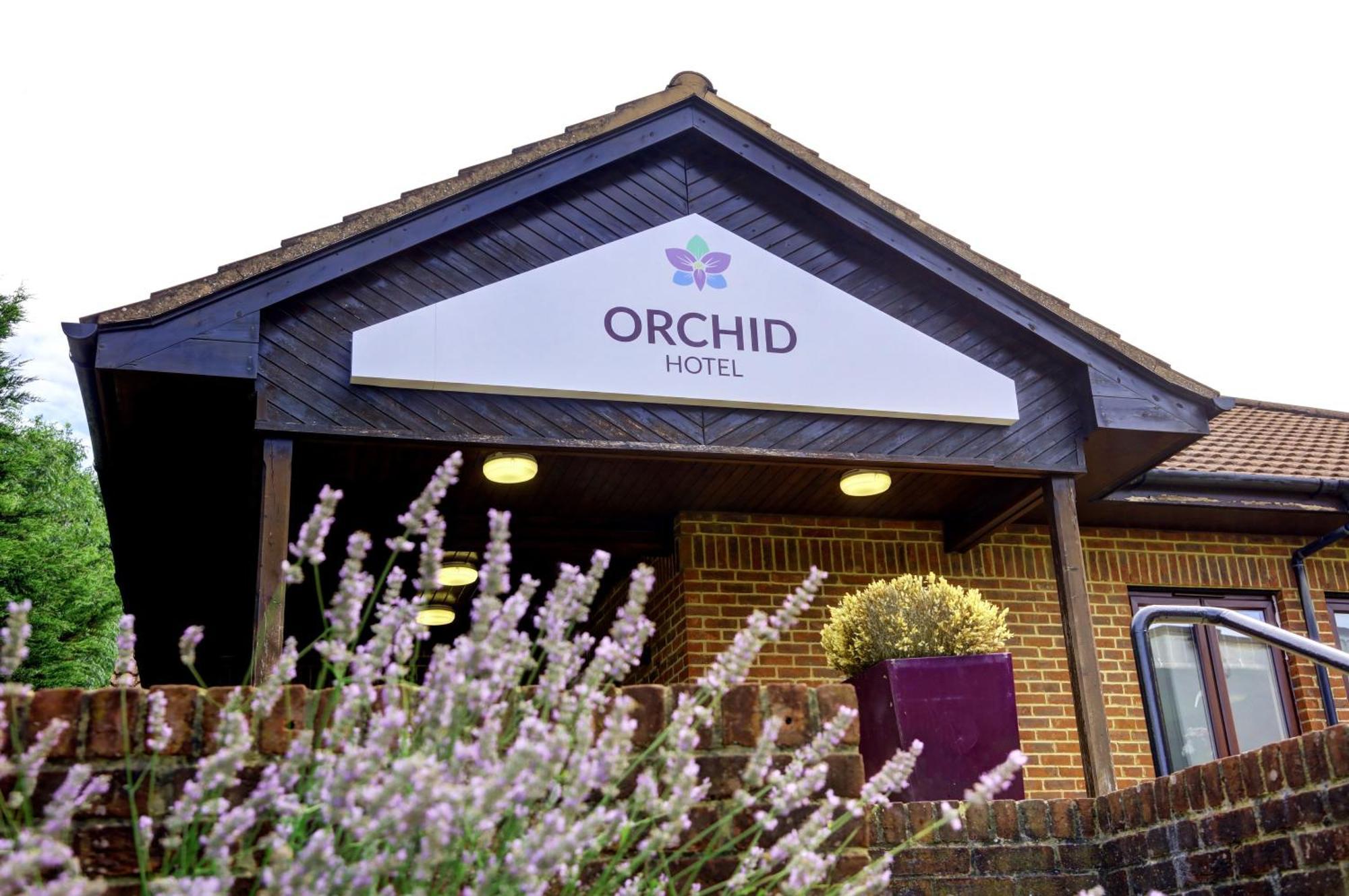 Orchid Epsom; Sure Collection By Western 3*